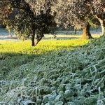 As belezas do Deus Inverno